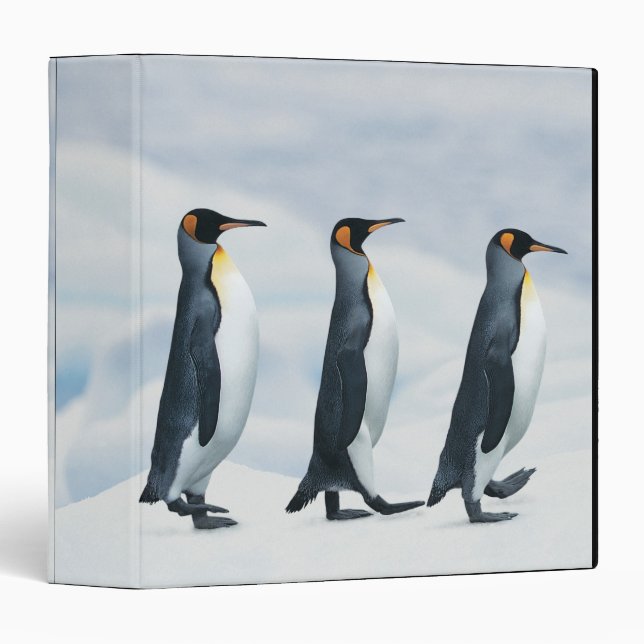 King Penguins walking in single file Binder (Front/Spine)