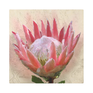 King Protea Metal Print