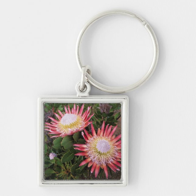 King Protea (Protea Cynaroides), Helderberg Keychain (Front)