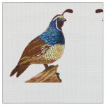King Quail in White Fabric