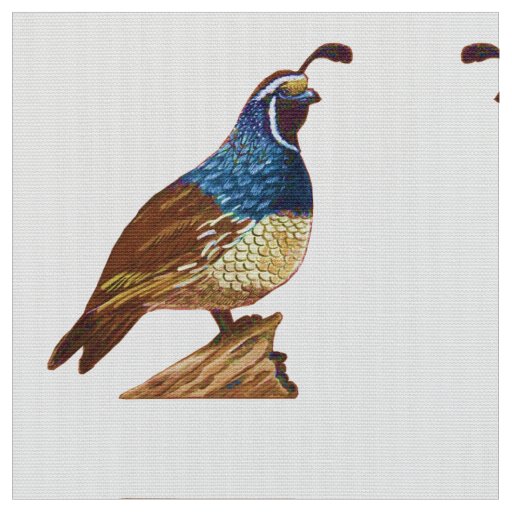 King Quail in White Fabric