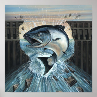 King Salmon Breaks Dam Poster