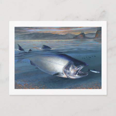 King Salmon Postcard