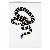 King Snake from Junglewalk.com (Front)