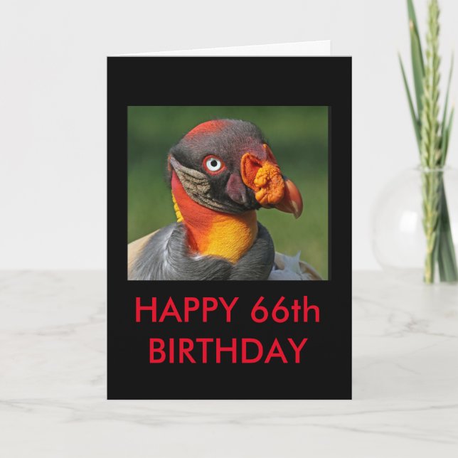 King Vulture - Happy 66th Birthday Card (Front)