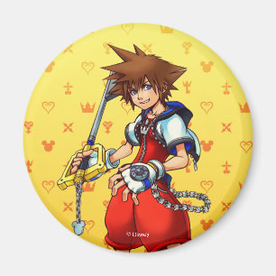 Kingdom Hearts   Sora Character Illustration Magnet