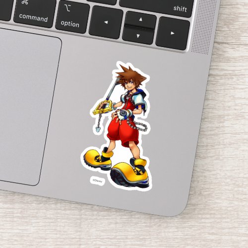 Kingdom Hearts  Sora Character Illustration Sticker