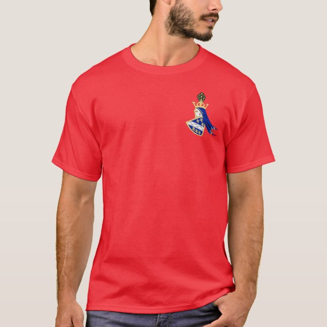 Kingdom of Bosnia coat of arms T-Shirt (Front)