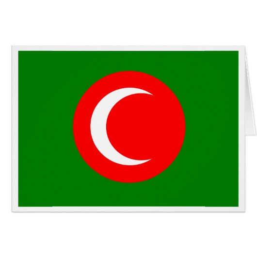 Kingdom of Kurdistan Flag (1922-1924, 1925) (Front Horizontal)