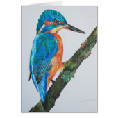 Kingfisher (Front)