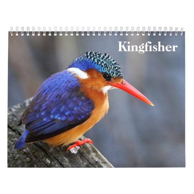 Kingfisher 2026 calendar (Cover)