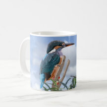 Kingfisher and Willow   