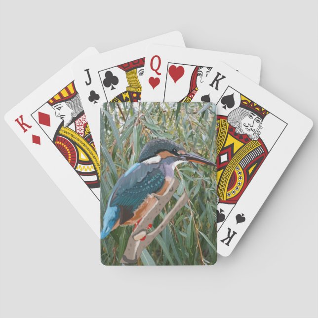 Kingfisher and Willow  Poker Cards (Back)
