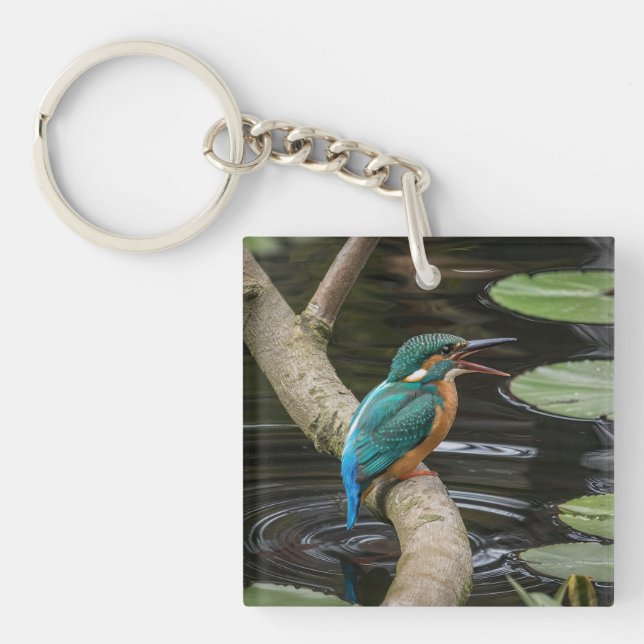 Kingfisher Bird Keychain (Front)