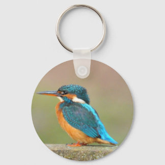 Kingfisher Bird Keychain