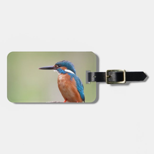 Kingfisher bird. luggage tag (Front Horizontal)