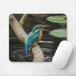Kingfisher Bird Mouse Pad