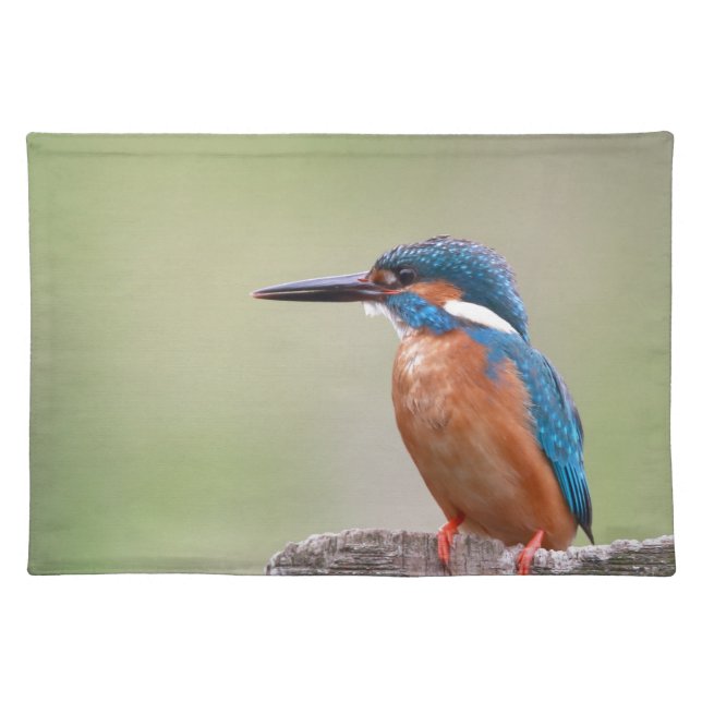 Kingfisher bird. placemat (Front)
