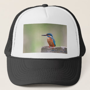 Kingfisher bird. trucker hat
