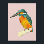 Kingfisher Bird Watercolor Painting Postcard<br><div class="desc">This is a watercolor painting of a kingfisher bird. It is sitting on the edge of a branch. The bird has bright colors. Orange and yellow on his belly and green on his head and wings. He is looking sideways.</div>