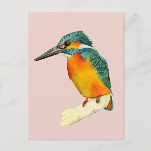Kingfisher Bird Watercolor Painting Postcard