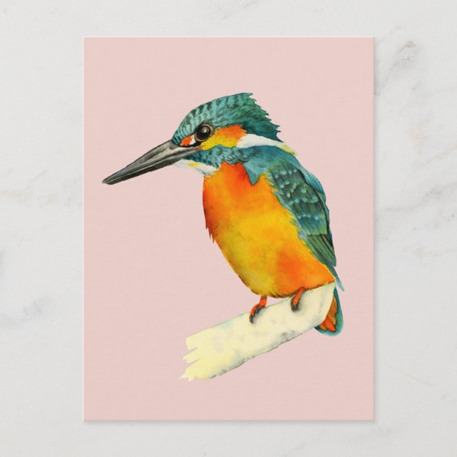 Kingfisher Bird Watercolor Painting Postcard (Front)