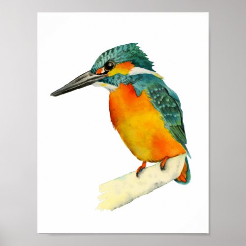 Kingfisher Bird Watercolor Painting Poster
