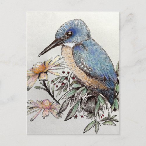Kingfisher bird watercolor wildlife art   postcard