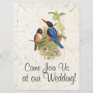Kingfisher Bird Wildlife Animal Wedding Invitation