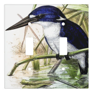 Kingfisher Bird Wildlife Art Light Switch Cover