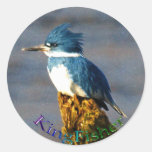 Kingfisher Bird Wildlife Sticker