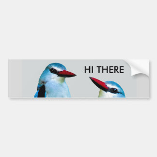Kingfisher Birds South Africa Bumper Sticker