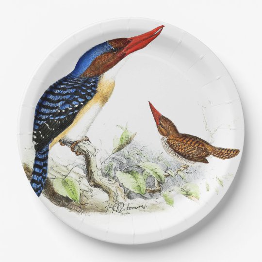 Kingfisher Birds Wildlife Animal Paper Plates