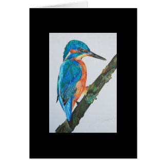 Kingfisher - Black Cards