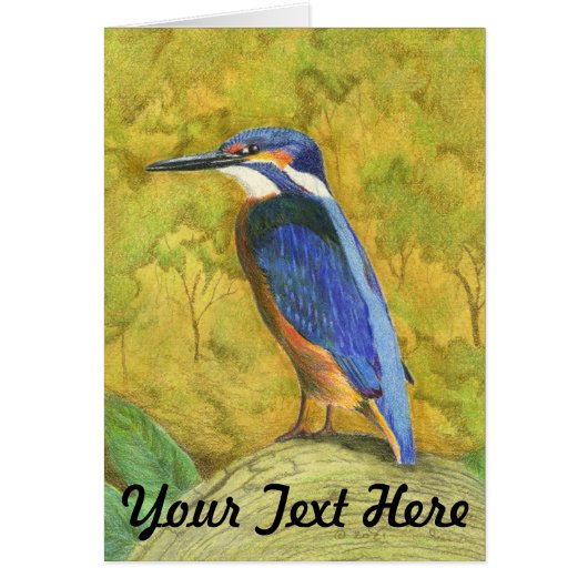 Kingfisher Cards (Front)