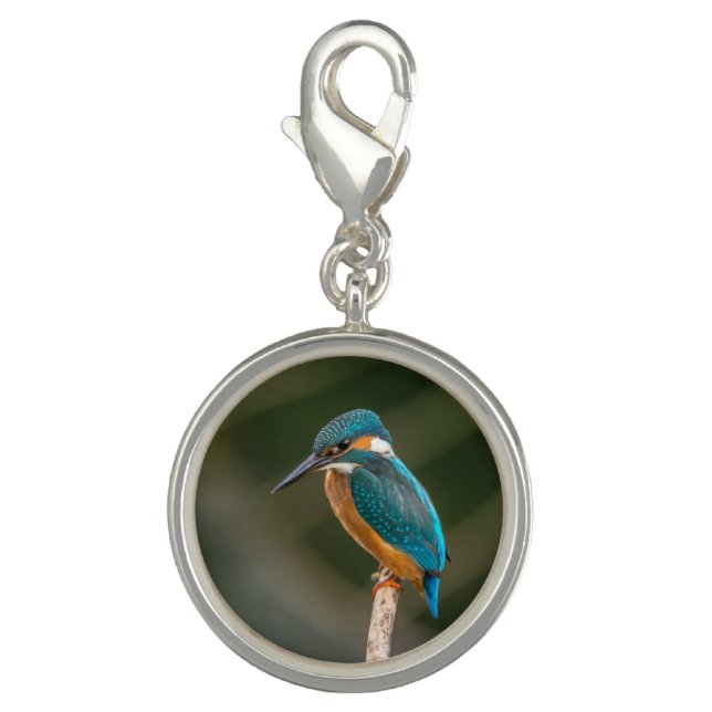 KIngfisher Charm (Front)