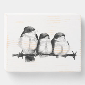 Kingfisher Chicks Wooden Box Sign
