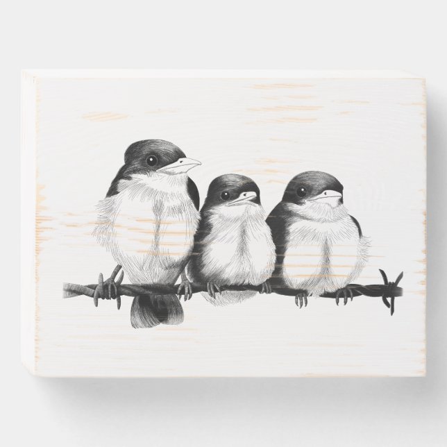 Kingfisher Chicks Wooden Box Sign (Front Horizontal)