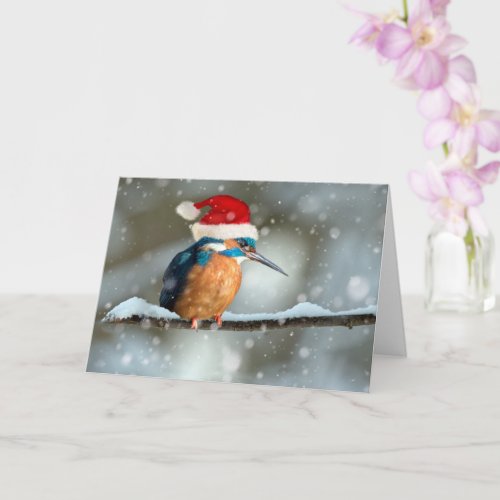 Kingfisher Christmas Card