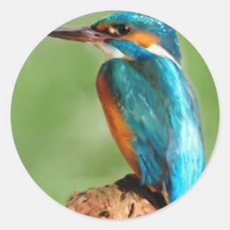 Kingfisher Classic Round Sticker