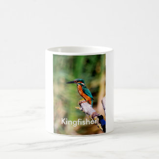 Kingfisher Coffee Mug