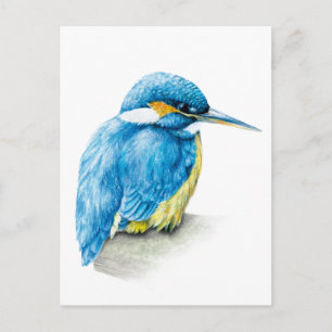Kingfisher fine art watercolor postcard