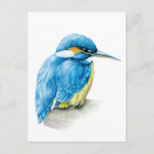Kingfisher fine art watercolor postcard