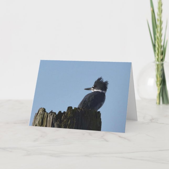 Kingfisher - Frameable Art Card (Front)
