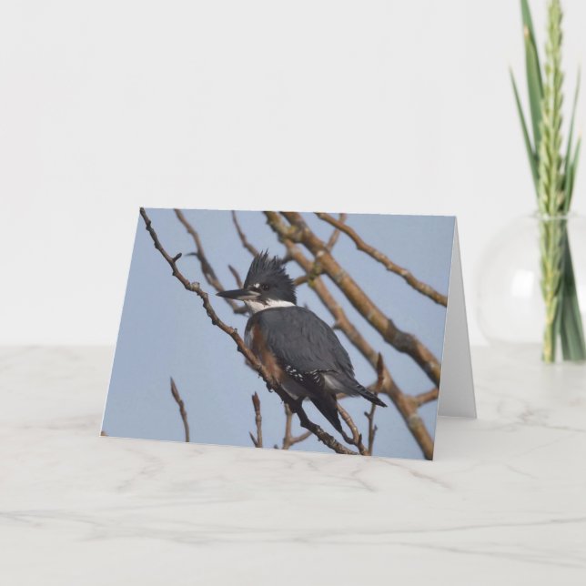 Kingfisher - Frameable Art Card (Front)