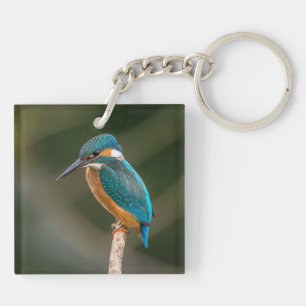 KIngfisher Keychain