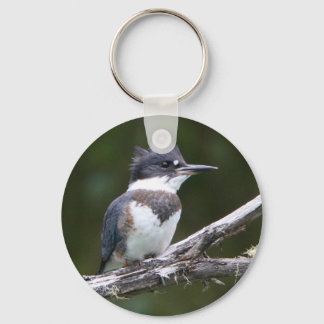 kingfisher keychain