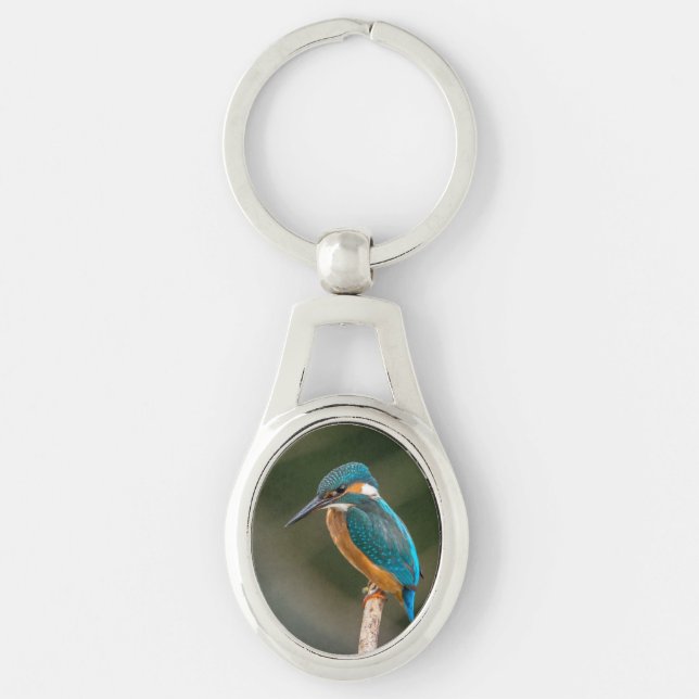 KIngfisher Keychain (Front)