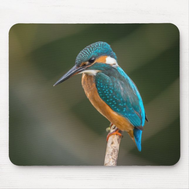 KIngfisher Mouse Pad (Front)