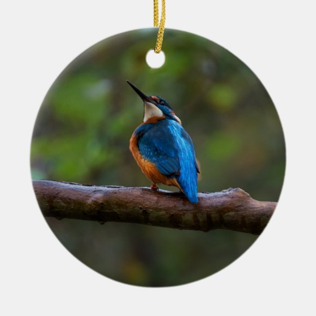 Kingfisher on a branch ceramic ornament (Front)